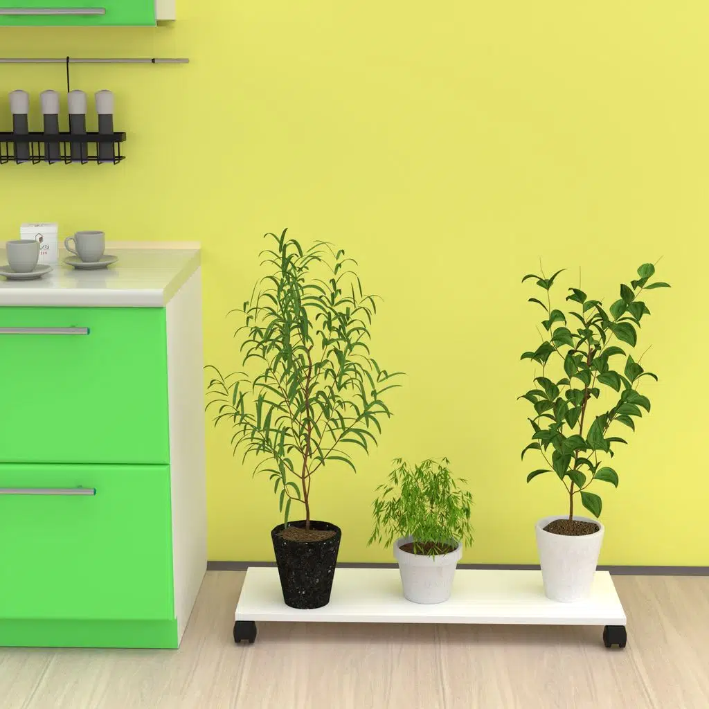 Kenzlife saksı altlığı kazım byz 010*090*30 tüp saksılık