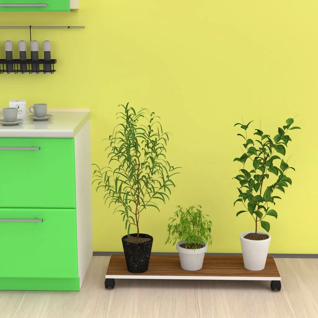 Kenzlife saksı altlığı kazım cvz 010*090*30 tüp saksılık